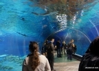 Afrykarium we Wrocławiu  - wczasy, urlopy, wakacje