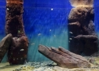 Afrykarium we Wrocławiu  - wczasy, urlopy, wakacje