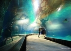 Afrykarium we Wrocławiu  - wczasy, urlopy, wakacje