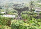 Teneryfa Why Not HOLIDAYS - wczasy, urlopy, wakacje