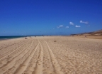 Plaża Sotavento, René Egli Windsurfing & Kitesurfing Fuerteventu - wczasy, urlopy, wakacje