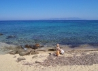 Wybrzeże Isola del Gigilio (zdj. Wikipedia) - wczasy, urlopy, wakacje
