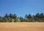 Sri Lanka - wczasy, urlopy, wakacje