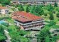 Best Western Oliveto - wczasy, urlopy, wakacje