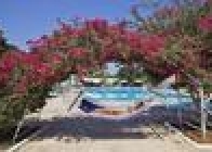 Merit Cyprus Gardens - wczasy, urlopy, wakacje