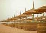 Aa Amwaj Resort - wczasy, urlopy, wakacje