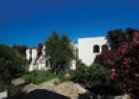 Peda Hotels Akvaryum Beach - wczasy, urlopy, wakacje