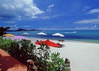 Samui Sense Beach Resort - wczasy, urlopy, wakacje