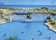 Platja Daurada - wczasy, urlopy, wakacje