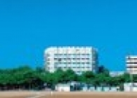 International (Lignano Sabbiadoro) - wczasy, urlopy, wakacje