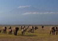 Vip Safari + Hotel Baobab Beach Resort - wczasy, urlopy, wakacje