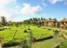 Mara River Safari Lodge - wczasy, urlopy, wakacje