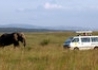 Safari Jambo Kenia - wczasy, urlopy, wakacje