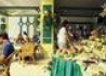 Festival Shedwan Golden Beach - wczasy, urlopy, wakacje