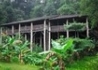 Przygoda Na Borneo - wczasy, urlopy, wakacje