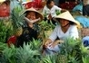 Wietnam - Kambodża - Laos - wczasy, urlopy, wakacje