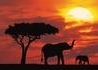 Oko W Oko Z Ngorongoro - wczasy, urlopy, wakacje