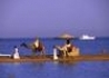Przelot Sharm El Sheikh - wczasy, urlopy, wakacje