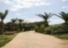 Ascos Coral Beach - wczasy, urlopy, wakacje