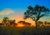 Mozambik I Safari W Rpa - wczasy, urlopy, wakacje