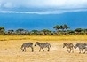 Kenia - Safari I Plaża - wczasy, urlopy, wakacje