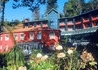 Quinta Do Monte (Funchal) - wczasy, urlopy, wakacje
