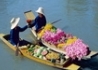 Skok Na Bangkok - wczasy, urlopy, wakacje