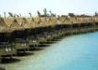 Panorama Bungalows El Gouna - wczasy, urlopy, wakacje