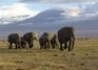 Safari Wspaniała Kenia - wczasy, urlopy, wakacje