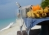 Palm Beach Resort - wczasy, urlopy, wakacje