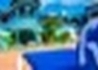Travellers Beach Resort - wczasy, urlopy, wakacje