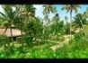Carnoustie Ayurveda &wellness Resort - wczasy, urlopy, wakacje