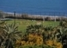 Iberostar Bellis - wczasy, urlopy, wakacje